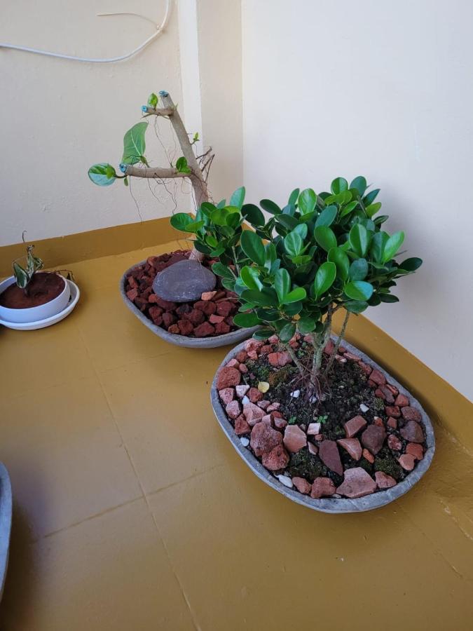 Sandy Beach Hotel Thiruvananthapuram Exterior foto